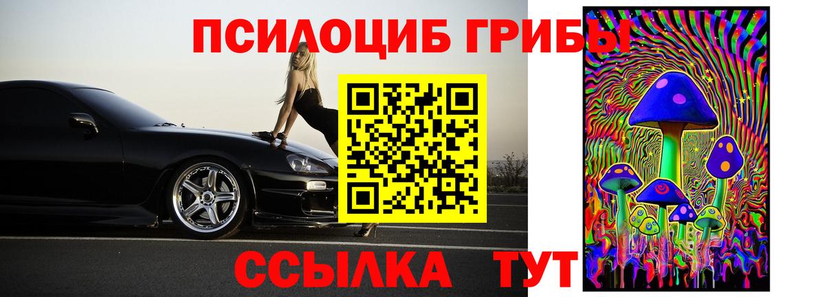 Галлюциногенные грибы Cubensis  Галлюциногенные грибы мухоморы  Вход с VPN  Новокуйбышевск 