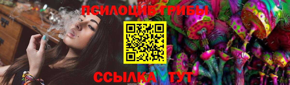 Галлюциногенные грибы Cubensis Новокуйбышевск